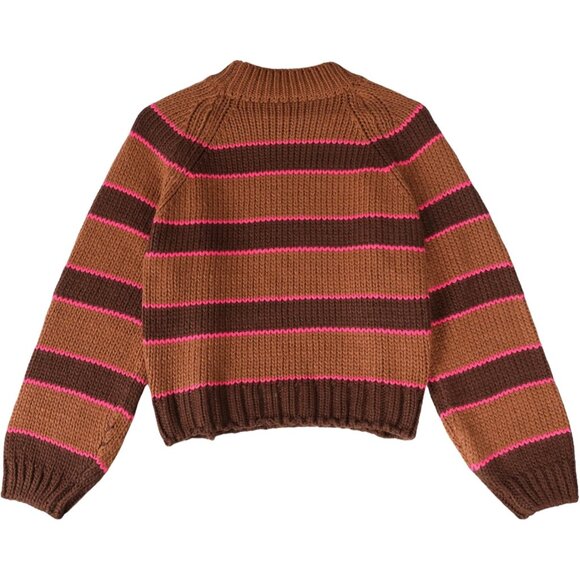 Chic Brown Stripe Turtleneck Sweater for Women - Cozy Fall Winter Knitwear - Picture 6 of 8